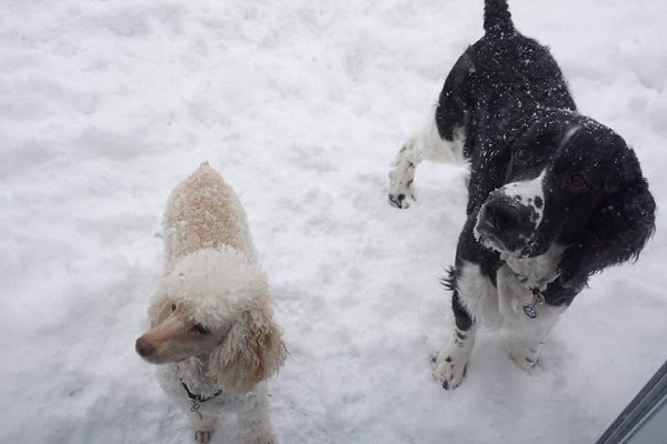 Arthur and friend