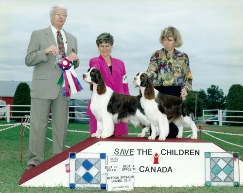English Springer Spaniel photo: Broker and Angie