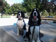 Huck and Trevor