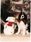 english springer spaniel:photo lacey's first Christmas