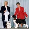 Lila Best Puppy In Show