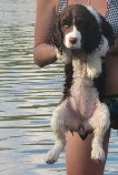 Lilah