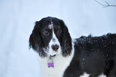 Lucy