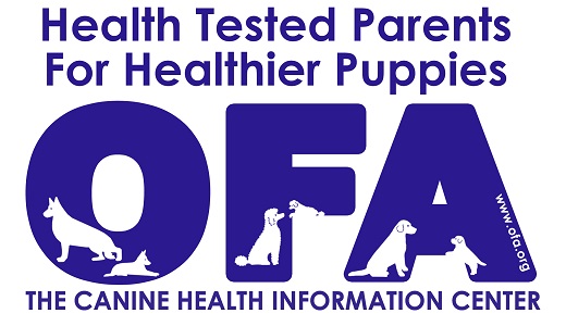 OFA