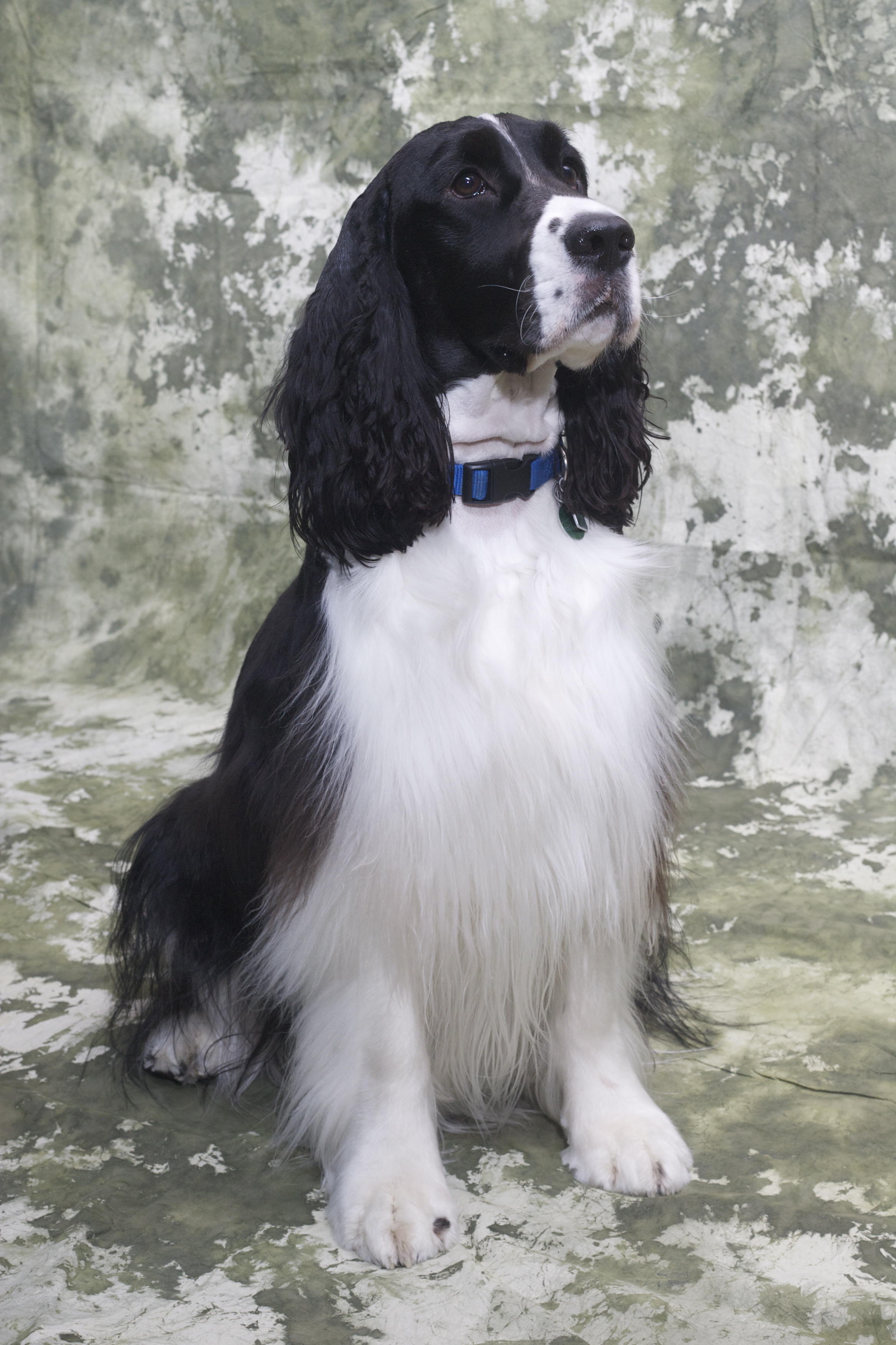 Odin