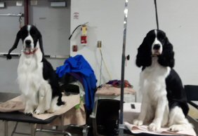 Samson and Mona