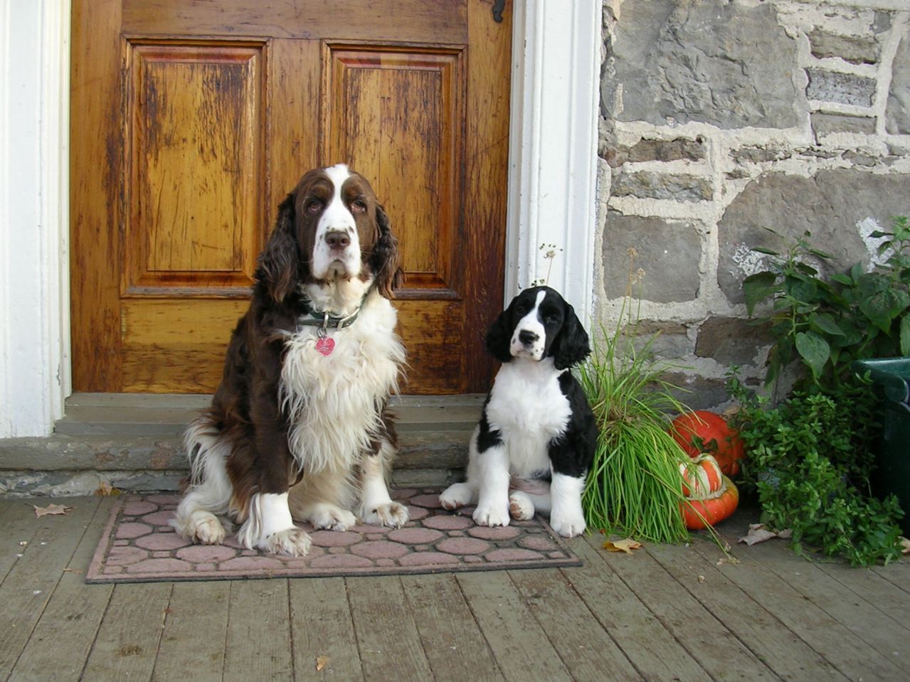 Scout & her pal