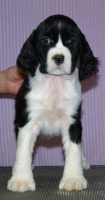 Alicia at 7 weeks