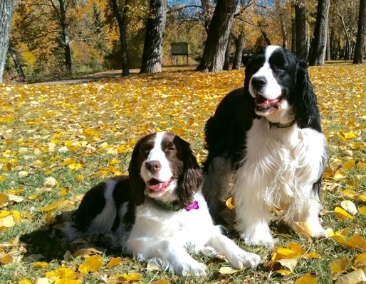 Murphy and Bailey Allard