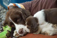 Becky and Rigby