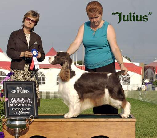 Julius