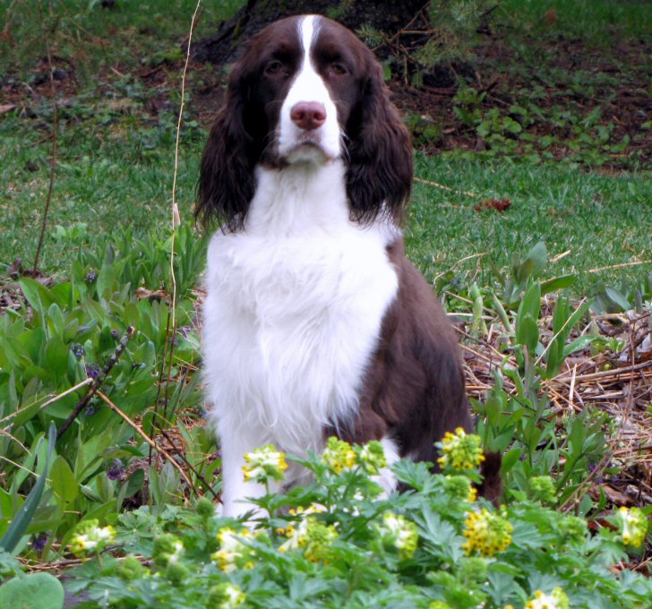 Bonnie