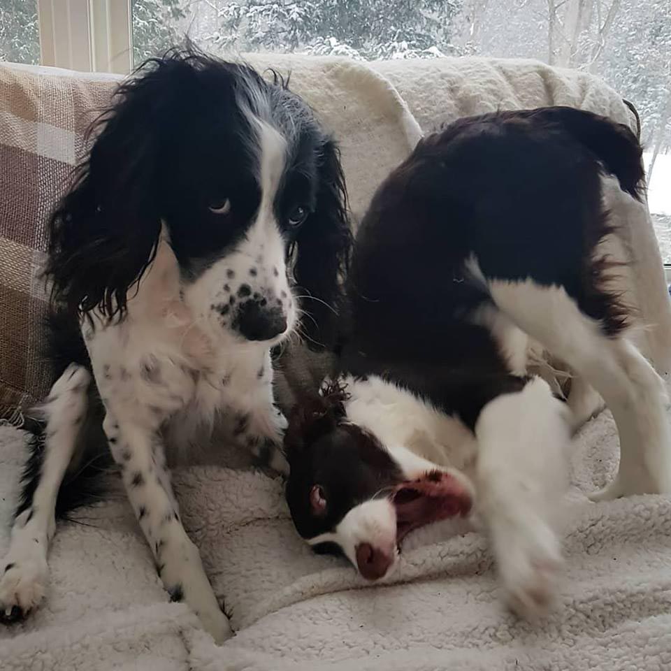 Boomer and Bonnie