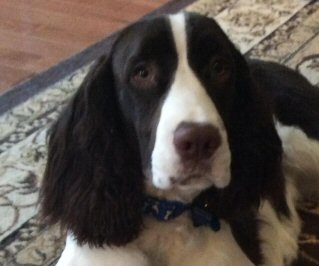 Carter
