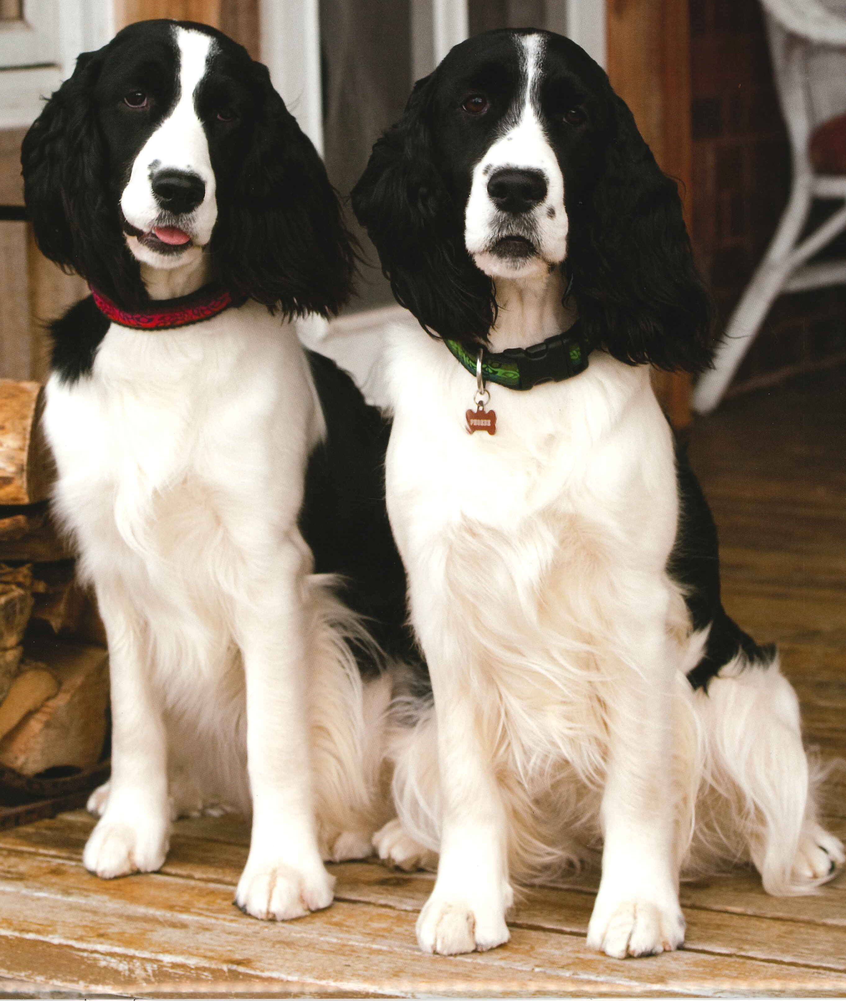 Charlotte and Phoebe