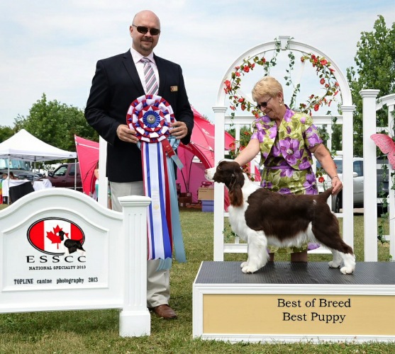 Dara winning Best In Specialty Show under Judge Steve Dainard