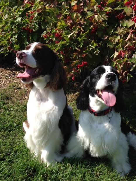 Darcy and Reba