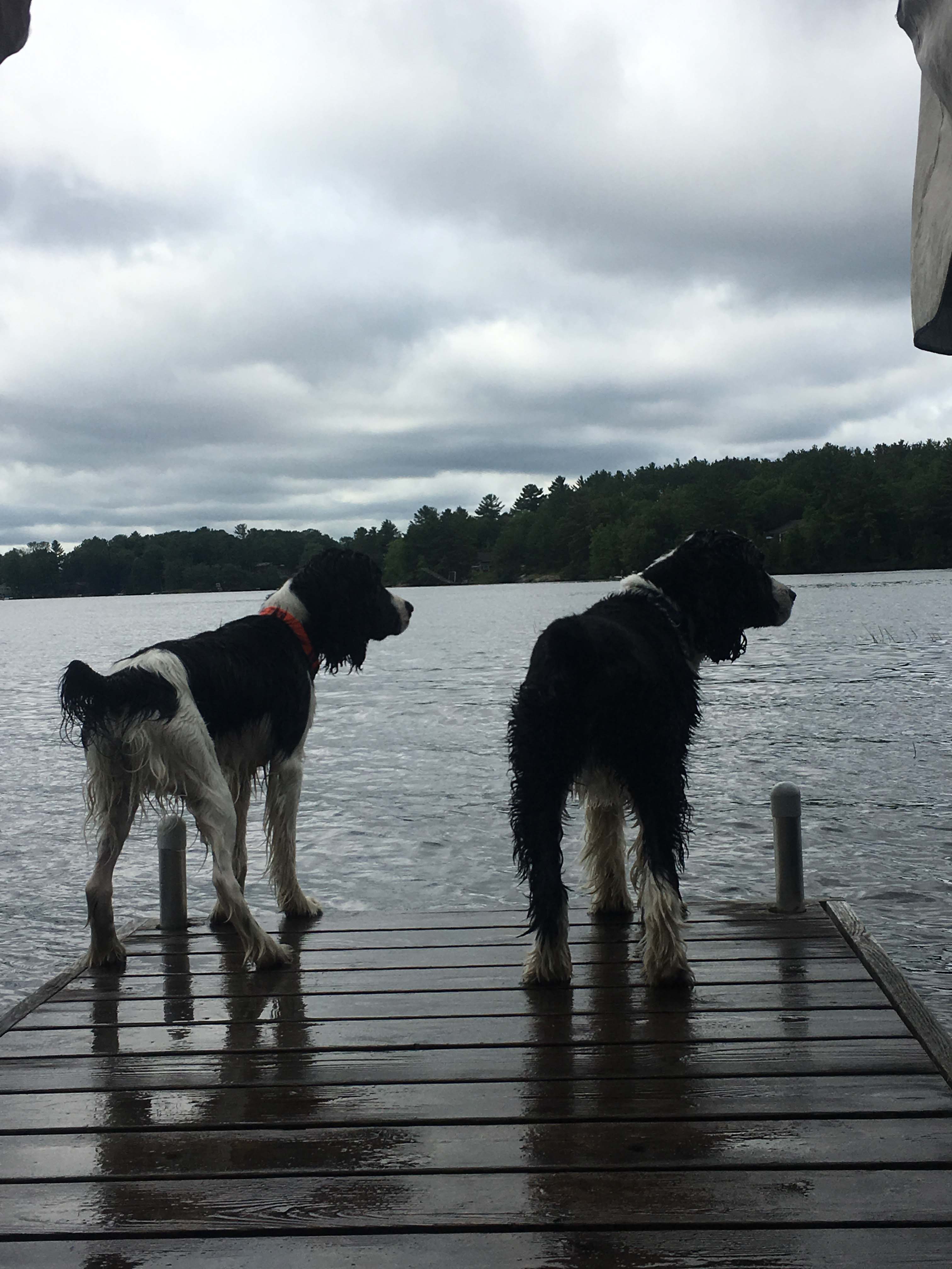 Doug & Lenny