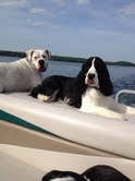 Gator and Neville