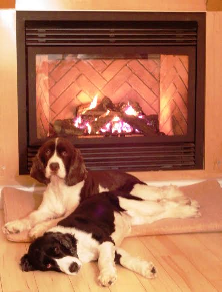 Gretzky and Astra 