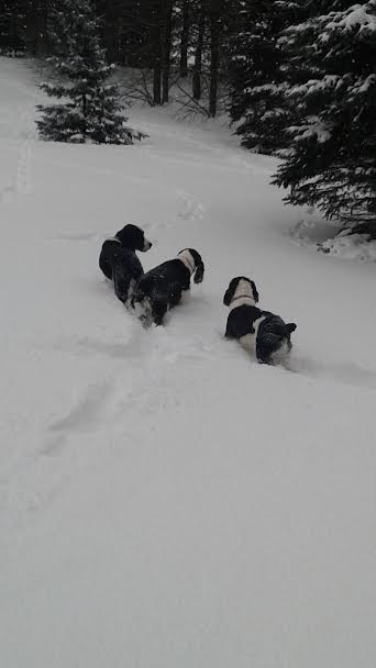 Jazzy, Lenny & Mya