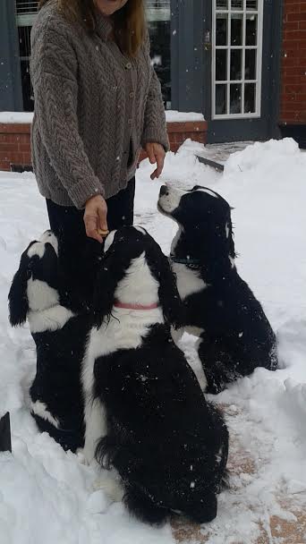 Jazzy, Lenny & Mya