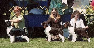 Diane Herns with 'Hockey', Heather Dowser with 'Katie' and Taylor Macdonald with 'Autumn'