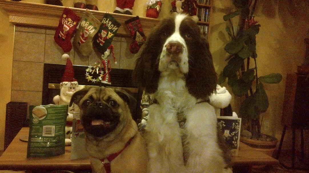 Kalhua and friend