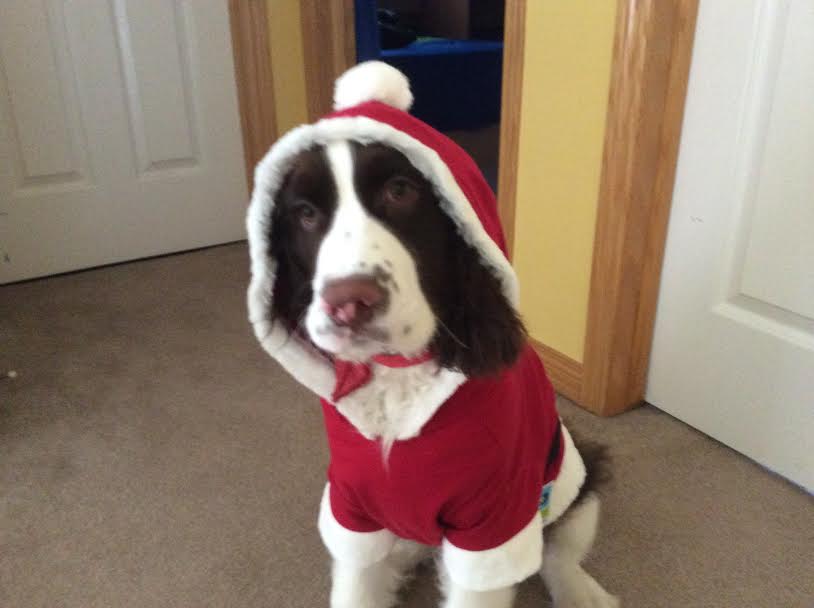Kahlua