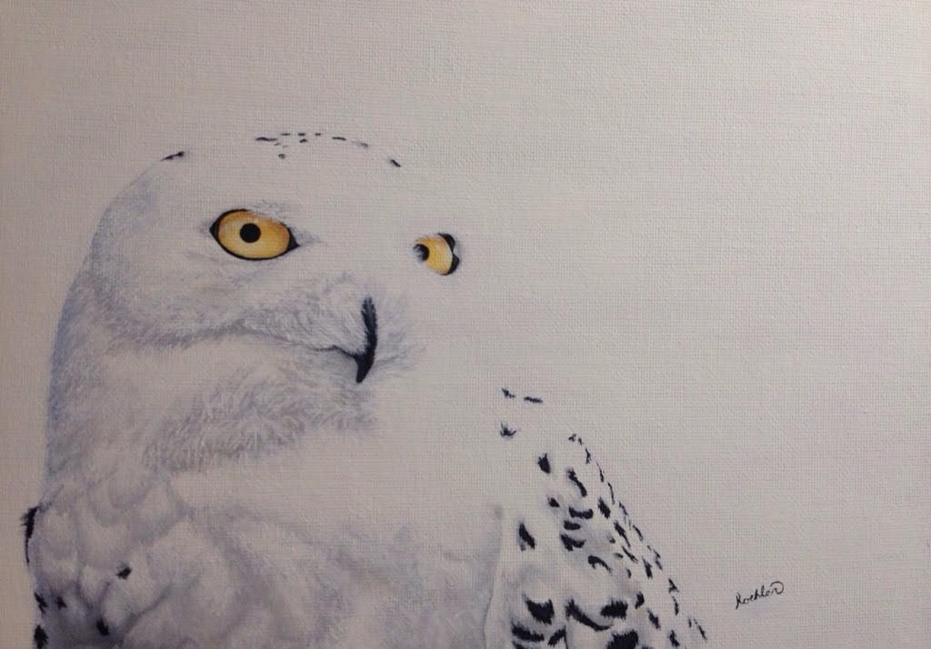 Karlene Koehler Owl