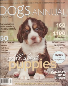 Dogs In Canada Annual 2012 cover model, Karmadi's What's Up Buddy!