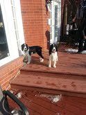 Lenny and Mya