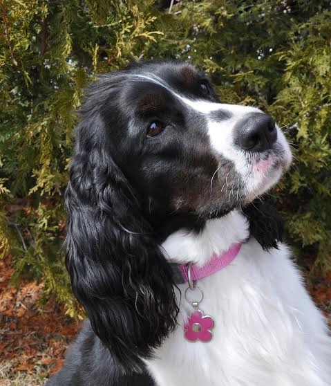 Lucy