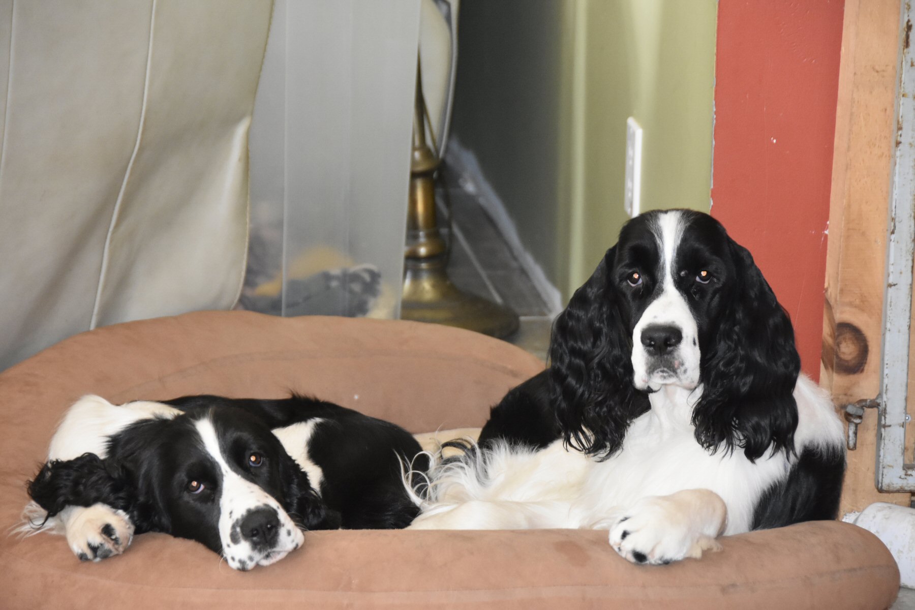 Mackenzie & Samson