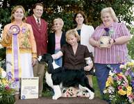 English Springer Spaniel image: Madam winning Best of Breed -- Eastern English Springer Spaniel Club