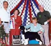 English Springer Spaniel: MBIS MBISS A/C Ch Karmadi's Madam President