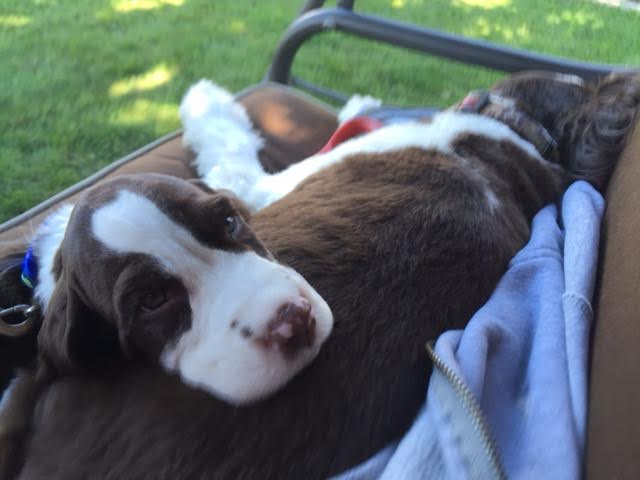 Marlow & Lucie