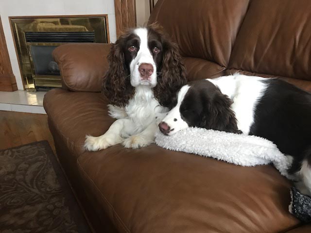 Marlow and Brooklyn