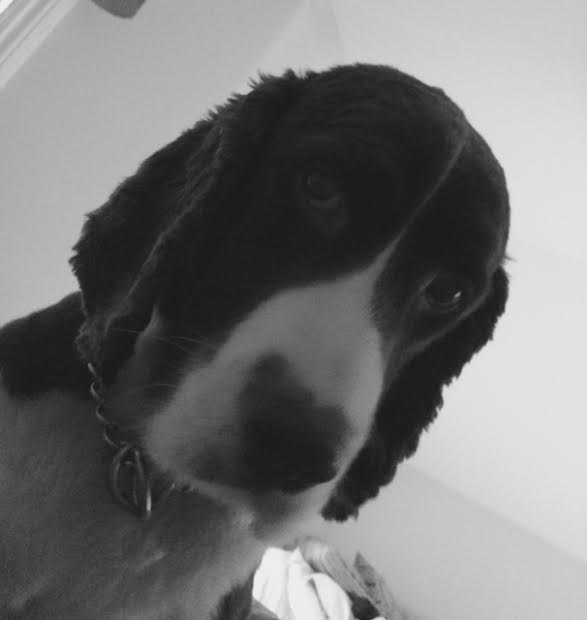Max