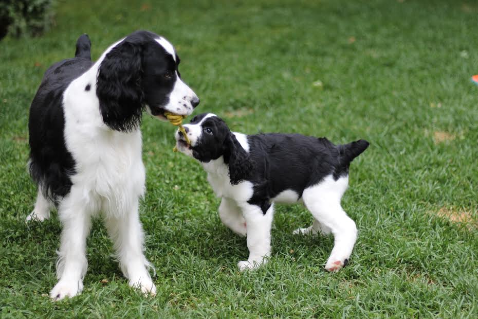 Maya and Larson