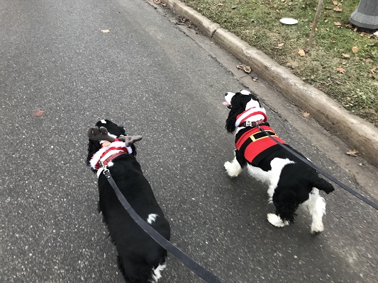 Mia and Jazzy