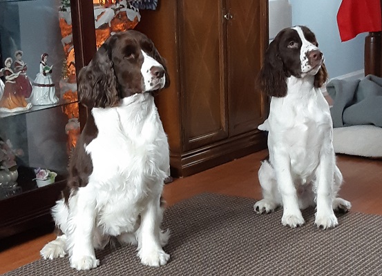 Molly and Tucker