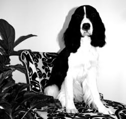 Mona