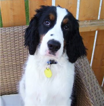 Murphy