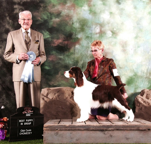 Noah winning Best Puppy In Group at Chomedy Quebec