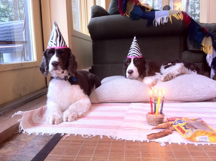 Obin and Tully