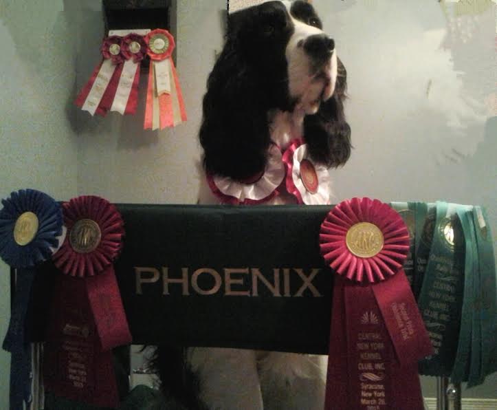 Phoenix