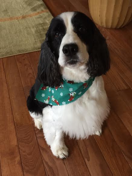 Reba