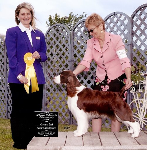 English Springer Spaniel: Remington winning a group 3rd 