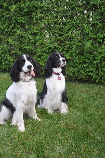 Rose & Lucy